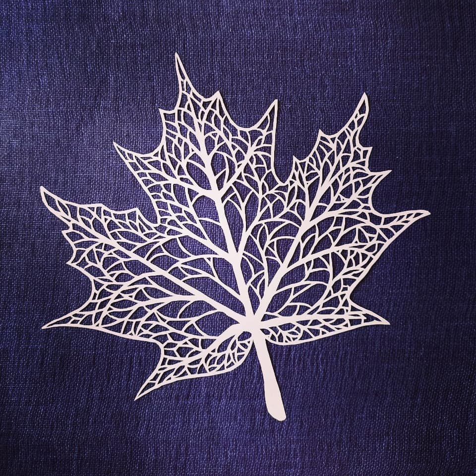 It's the fallen leaves that makes the barren land beautiful.